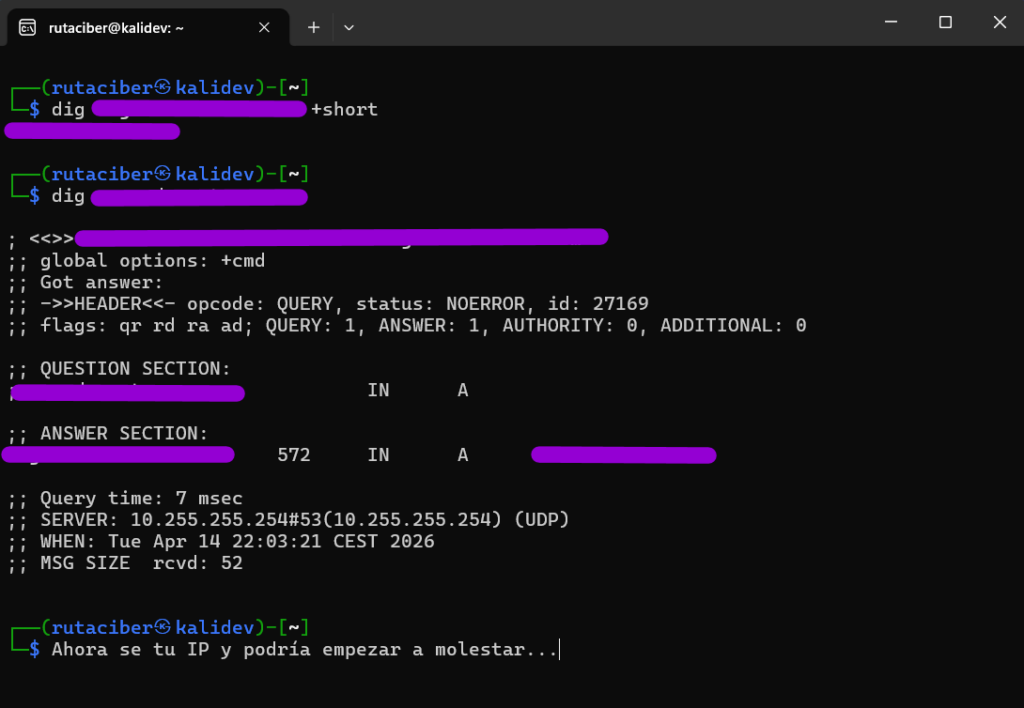 Resultado de lanzar dig contra otra web elegida, casi, al azar.