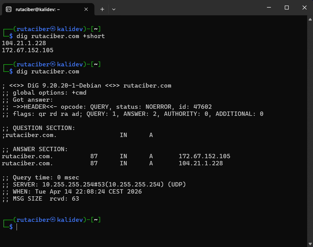 Resultado de ejecutar dig contra rutaciber.com